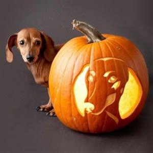 Pumpkin Carving Pattern Ideas