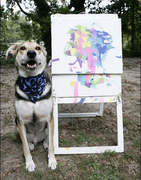 Artist dog