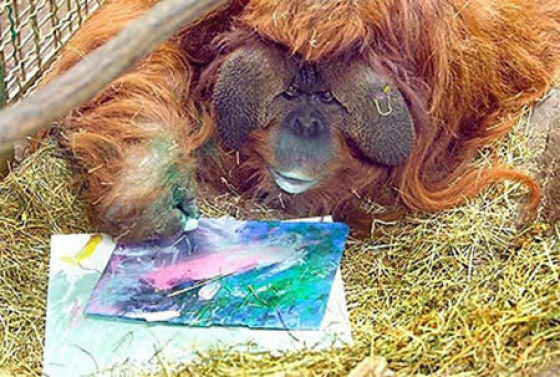Orangutan painting