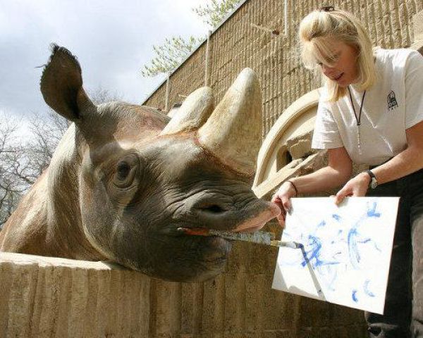 Rhino painting